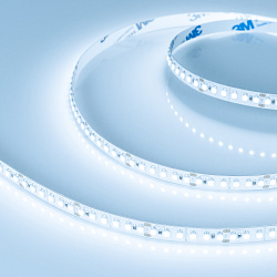 Светодиодная лента RT-A180-8mm 24V Cool 10K (14.4 W/m, IP20, 3528, 5m) (Arlight, Открытый)