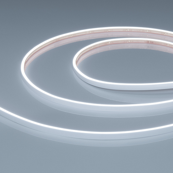 Светодиодная лента герметичная VELA-M240-2.5x6mm 24V White6000 (5 W/m, IP65, 5m) (Arlight, узкая) Lednikoff