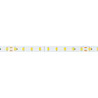 Светодиодная лента ULTRA-C72-10mm 24V Warm2700 (7.2 W/m, IP20, 5630, 5m) (Arlight, высок.эфф.200 лм/Вт) Lednikoff