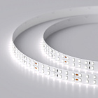 Светодиодная лента RT 2-5000 24V White6000 2x2 (2835, 980 LED, LUX) (Arlight, 20 Вт/м, IP20) Lednikoff