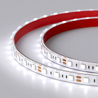 Светодиодная лента RTW 2-5000PS 12V Cool 8K 2x (5060, 300 LED, LUX) (Arlight, 14.4 Вт/м, IP67) Lednikoff