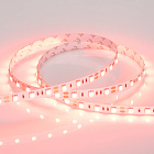 Светодиодная лента RT 2-5000 12V Red 2x (5060, 300 LED, LUX) (Arlight, 14.4 Вт/м, IP20) Lednikoff