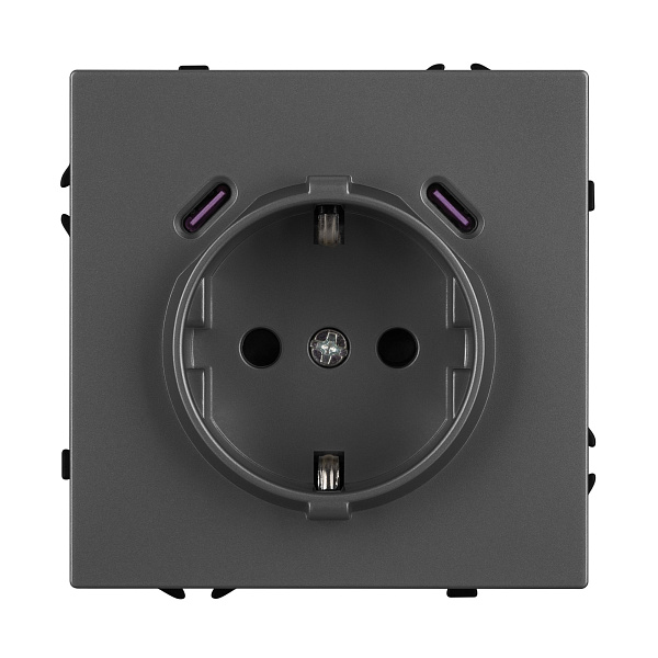 Механизм розетки с USB зарядкой SCT-NOBE-MUCC-SFPL-GR (230V, 16A) (Arlight, -) Lednikoff