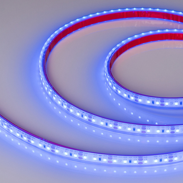 Светодиодная лента RTW 2-5000PGS 12V Blue 2x (3528, 600 LED) (Arlight, 9.6 Вт/м, IP67) Lednikoff
