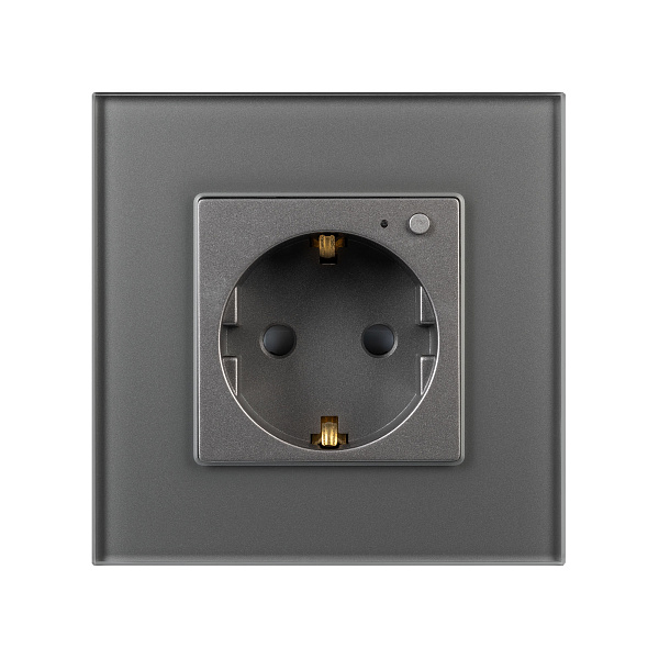 Розетка электрическая с Zigbee управлением SCT-OMALI-EUZB1-PL-GR (240V, 16A, Zigbee) (Arlight, -) Lednikoff