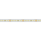 Светодиодная лента RTW 2-5000PS-50m 24V White6000 2x (2835, 160 LED/m, LUX) (Arlight, 12 Вт/м, IP67) Lednikoff