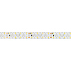 Светодиодная лента RZ-A160-15mm 24V Warm2700 (19.2 W/m, IP20, 2835, 5m) (Arlight, -) Lednikoff