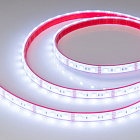 Светодиодная лента герметичная RTW-PFS-B60-13mm 12V RGB (14.4 W/m, IP68, 5060, 5m) (Arlight, -) Lednikoff