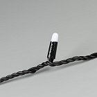 Светодиодная гирлянда ARD-STRING-CLASSIC-10000-BLACK-100LED-MILK-LIVE RGB-DMX (24V, 10W) (Ardecoled, IP65) Lednikoff