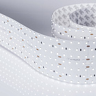 Светодиодная лента S2-2500 24V White 6000K 85mm (2835, 560 LED/m, LUX) (Arlight, 40 Вт/м, IP20) Lednikoff