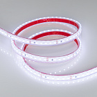 Светодиодная лента RTW 2-5000PGS 24V Cool 2x (3528, 600 LED, LUX) (Arlight, 9.6 Вт/м, IP67) Lednikoff