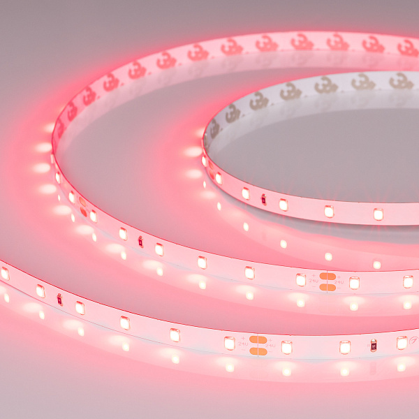 Светодиодная лента RT-A60-8mm 24V Ruby (4.8 W/m, IP20, 5m) (Arlight, -) Lednikoff