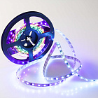 Светодиодная лента SPI-5000-5060-60 12V Cx3 RGB-Auto (10mm, 13.2W/m, IP20) (Arlight, Открытый, IP20) Lednikoff
