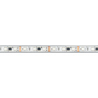 Светодиодная лента герметичная DMX-PS-B60-12mm 12V RGB-PX3 (14 W/m, IP67, 5060, 5m) (Arlight, -) Lednikoff