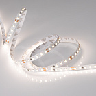 Светодиодная лента RT 2-5000 24V Day4000 2x (2835, 600 LED, PRO) (Arlight, 14.4 Вт/м, IP20) Lednikoff