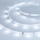 Светодиодная лента RT 2-5000 24V White6000 0.5x (3528, 150 LED, LUX) (Arlight, 2.9 Вт/м, IP20)