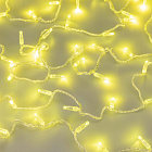 Светодиодная гирлянда ARD-STRING-CLASSIC-10000-CLEAR-100LED-STD Gold (230V, 7W) (Ardecoled, IP65) Lednikoff