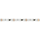 Светодиодная лента DMX-B60-10mm 12V RGB-PX3 (14 W/m, IP20, 5060, 5m) (Arlight, -) Lednikoff