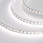 Светодиодная лента RT 6-5050-96 24V Day4000 3x (480 LED) (Arlight, 23 Вт/м, IP20) Lednikoff