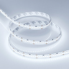 Светодиодная лента RT 2-5000 24V Cool 8K 10mm (2835, 252 LED/m, LUX) (Arlight, 10 Вт/м, IP20) Lednikoff