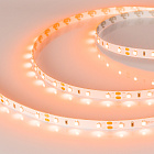 Светодиодная лента RT-A60-8mm 12V Orange (4.8 W/m, IP20, 2835, 5m) (Arlight, -) Lednikoff