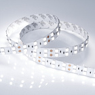 Светодиодная лента RT 2-5000 24V Cool 8K 2x2 (5060, 600 LED, LUX) (Arlight, 28.8 Вт/м, IP20) Lednikoff