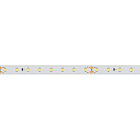 Светодиодная лента RTW 2-5000PS-50m 24V Warm2700 (2835, 80 LED/m, LUX) (Arlight, 6 Вт/м, IP67) Lednikoff