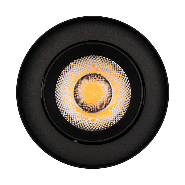 Светильник SP-FOCUS-R132-24W Day4000 (BK, 36 deg, 230V) (Arlight, IP54 Металл, 5 лет) Lednikoff