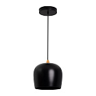 Светильник SP-PEONY-HANG-R250-15W Day4000 (BK, 65 deg, 230V) (Arlight, IP20 Металл, 3 года) Lednikoff