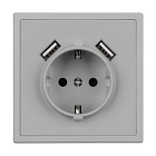 Механизм розетки с USB зарядкой SCT-NOBE-MUAA-SFPL-IS (230V, 16A)  (Arlight, Никель) Lednikoff