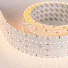Светодиодная лента S2-2500 24V Warm 3000K 59mm (2835, 420 LED/m, LUX) (Arlight, 30 Вт/м, IP20) Lednikoff