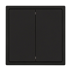 Механизм выключателя двухклавишный перекрёстный SWT-NOBE-MKX2-SFPL-BK (230V, 10A) (Arlight, Черный оникс)