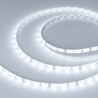 Светодиодная лента герметичная RTW-SE-A60-8mm 12V White6000 (4.8 W/m, IP65, 2835, 5m) (Arlight, 4.8 Вт/м, IP65) Lednikoff