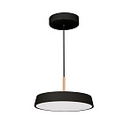 Светильник SP-ELEGANT-R300-17W Warm3000 (BK, 120 deg, 230V) (Arlight, IP20 Металл, 3 года) Lednikoff