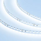Светодиодная лента RT 2-5000 24V Cool 8K 2x (3528, 600 LED, LUX) (Arlight, 9.6 Вт/м, IP20) Lednikoff