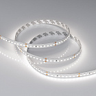 Светодиодная лента RT-A144-10mm 24V White6000 (7.7 W/m, IP20, 2835, 5m) (Arlight, высок.эфф.200 лм/Вт) Lednikoff
