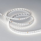 Светодиодная лента RT-A90-10mm 24V White6000 (4.8 W/m, IP20, 2835, 5m) (Arlight, высок.эфф.200 лм/Вт) Lednikoff