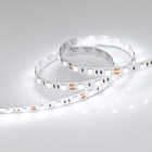 Светодиодная лента RT 2-5000 12V White6000 2x (5060, 300 LED, LUX) (Arlight, 14.4 Вт/м, IP20) Lednikoff