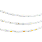 Светодиодная лента герметичная XRT-TPU-A80-12mm 24V Warm2700 (10 W/m, IP67, 5m) (Arlight, CRI>90) Lednikoff