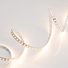 Светодиодная лента RT 2-5000 24V Warm2700 2x (3528, 600 LED, LUX) (Arlight, 9.6 Вт/м, IP20) Lednikoff