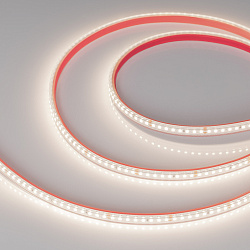 Светодиодная лента герметичная RTW-PS-A160-10mm 24V Day4000 (12 W/m, IP67, 2835, 50m) (Arlight, 12 Вт/м, IP67)