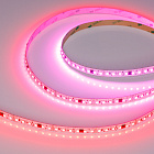 Светодиодная лента SPI-A120-10mm 24V RGB-PX6-BPT (23 W/m, IP20, 2835, 5m) (Arlight, бегущий огонь) Lednikoff