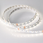 Светодиодная лента RT-B60-12mm 24V RGBW-Day-4-in-1 (19.2 W/m, IP20, 5060, 5m) (Arlight, Открытый) Lednikoff