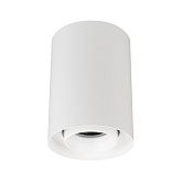Светильник SP-FOCUS-R86-10W Warm3000 (WH, 24 deg, 230V) (Arlight, IP54 Металл, 5 лет)