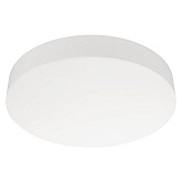Светильник IM-FLOWER-EMERGENCY-3H-R410-32W Day4000-MIX (WH, 110 deg, 230V) (Arlight, IP54 Пластик, 2 года)