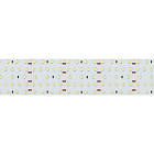 Светодиодная лента S2-2500 24V Warm 3000K 52mm (2835, 420 LED/m, LUX) (Arlight, 30 Вт/м, IP20) Lednikoff