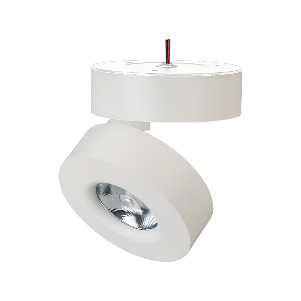 Светильник SP-MONA-SURFACE-R100-12W Day4000 (WH, 24 deg) (Arlight, IP40 Металл, 3 года) Lednikoff