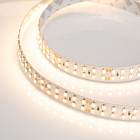 Светодиодная лента RT 2-5000 24V Warm3000 2x2 (3528, 1200 LED, LUX) (Arlight, 19.2 Вт/м, IP20) Lednikoff