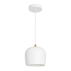 Светильник SP-PEONY-HANG-R250-15W Day4000 (WH, 65 deg, 230V) (Arlight, IP20 Металл, 3 года) Lednikoff