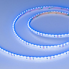 Светодиодная лента RS-S120-8mm 24V Blue (9.6 W/m, IP20, 3014, 5m) (Arlight, боковое свечение) Lednikoff